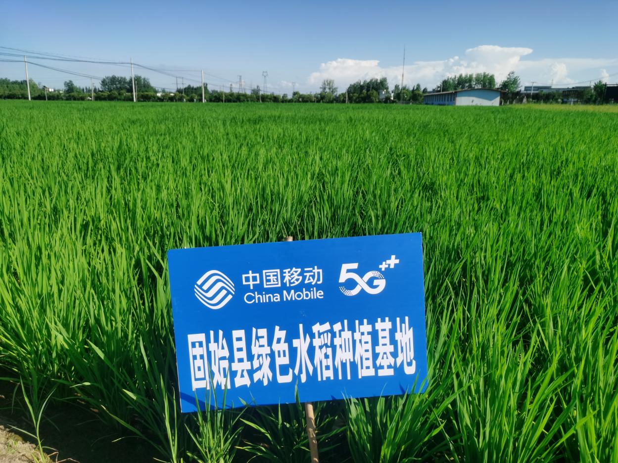 河南移动