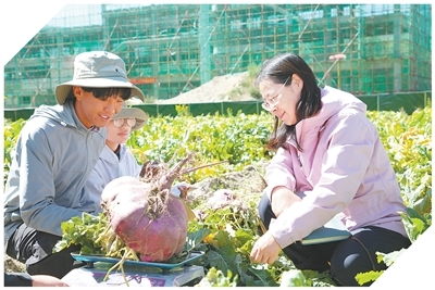 2024年，科技创新对西藏经济增长贡献率已提升至42% 雪域高原  创新热土（科技视点）