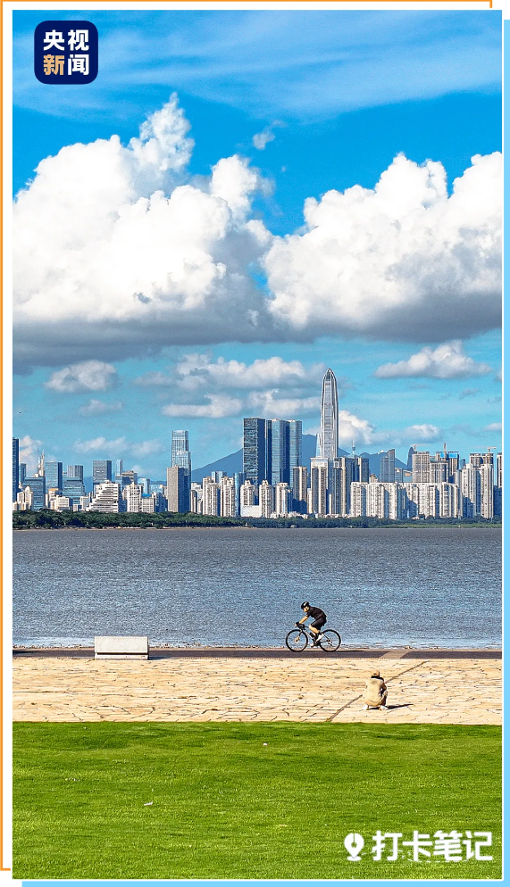 △深圳湾公园绿地与福田区CBD