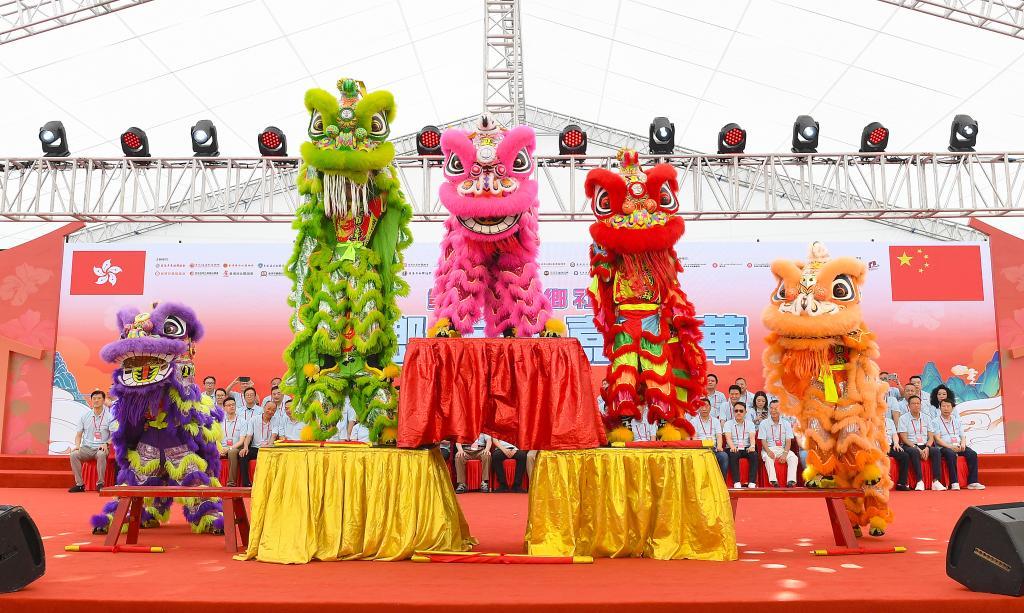 6月1日，在香港举办的第三届“家乡市集嘉年华”开幕式上，演员在表演舞狮。