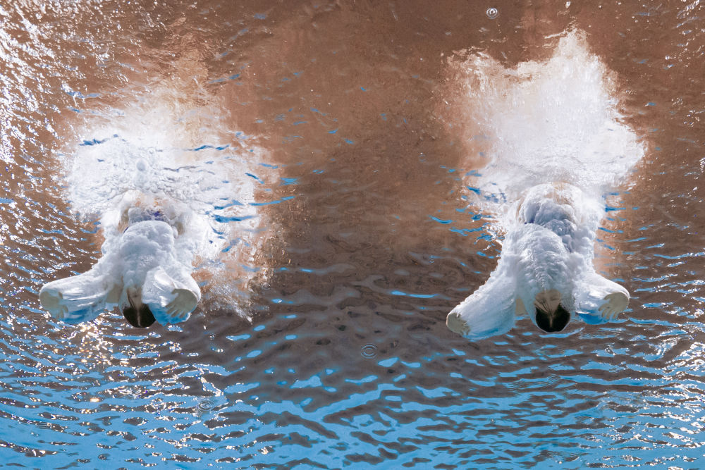 ↑11月2日,广东队组合全红婵/王伟莹在跳水女子团体赛双人10米跳台项目比赛中。新华社记者 夏一方 摄