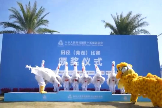 ↑11月17日,《非遗焕彩》亮相全运会马拉松竞走混合接力项目颁奖仪式。(视频截图)