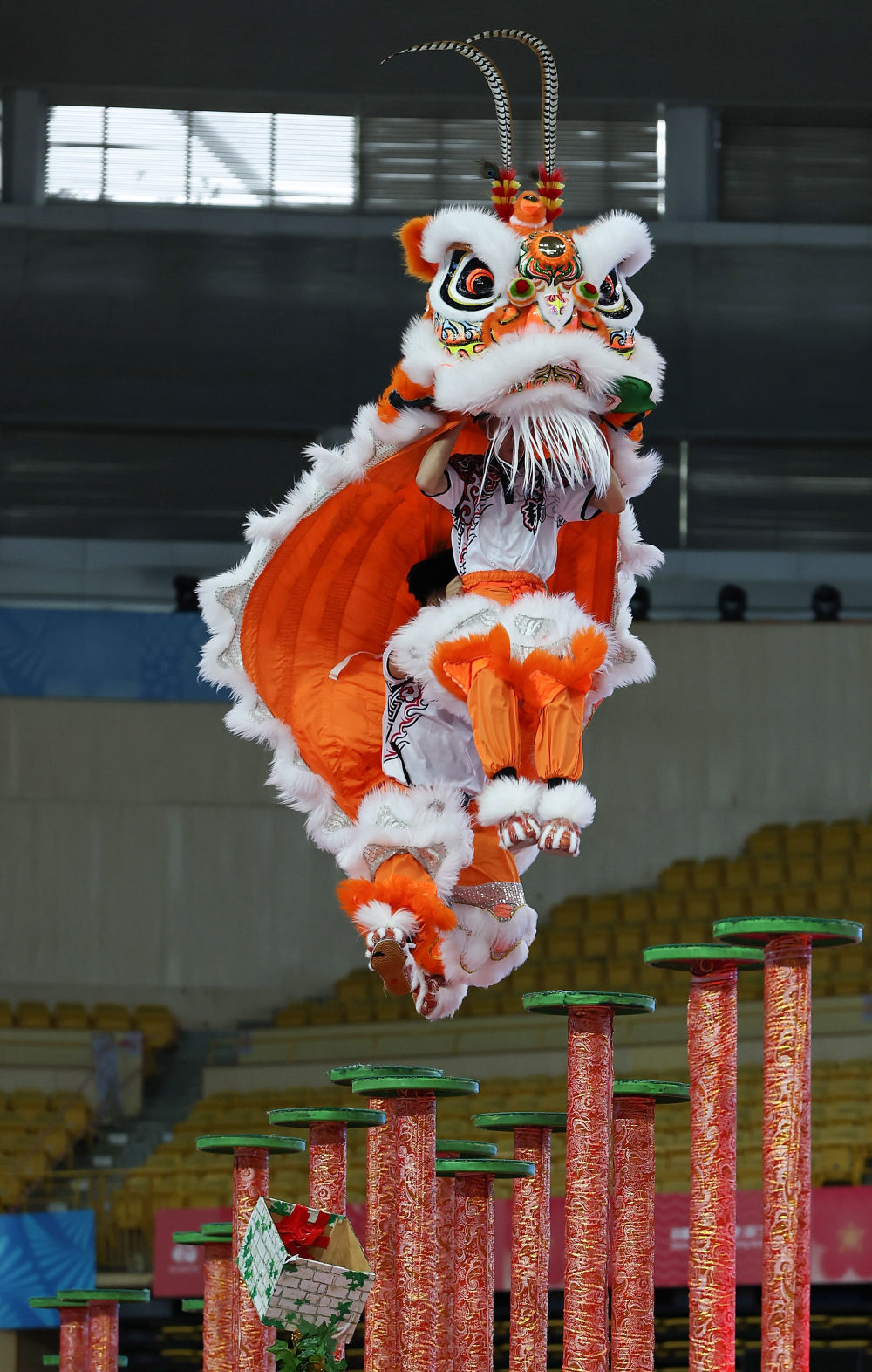 ↑11月11日,河南队在比赛中。新华社记者 王鹏 摄