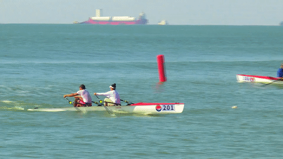 去粤港澳这篇就够了！最新指南