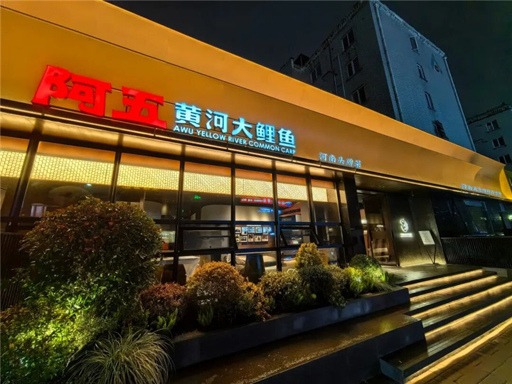 阿五黄河大鲤鱼