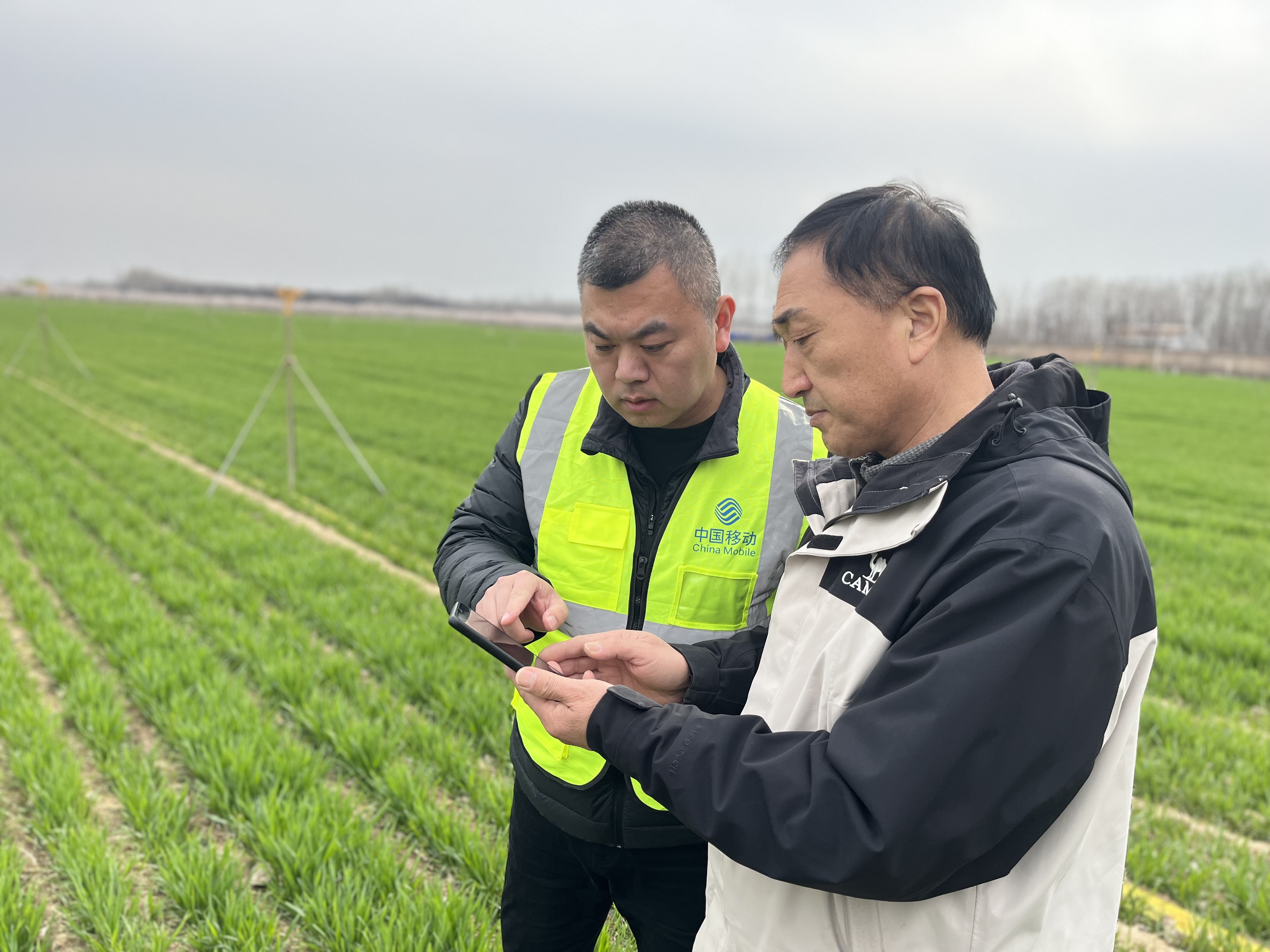 中国移动河南公司