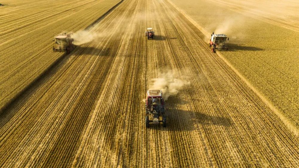 在河南省商丘市梁园区李庄镇潘堂村志诚种植农民专业合作社，农机手操作收割机、秸秆还田机、玉米精量播种机作业（无人机照片）。新华社发（李恒 摄）