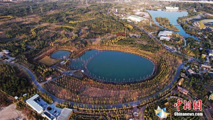 雄安郊野公园秋景。中新社记者 翟羽佳 摄