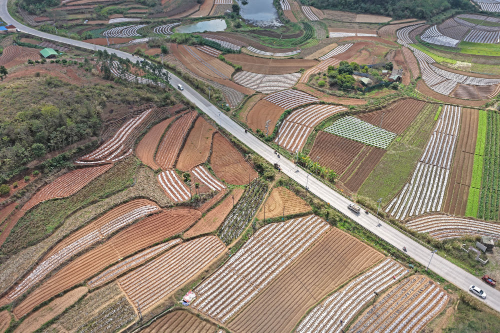 3月1日，广西南宁市邕宁区蒲庙镇村民忙着春耕春管，田园里一派繁忙景象（无人机照片）。新华社记者 周华 摄