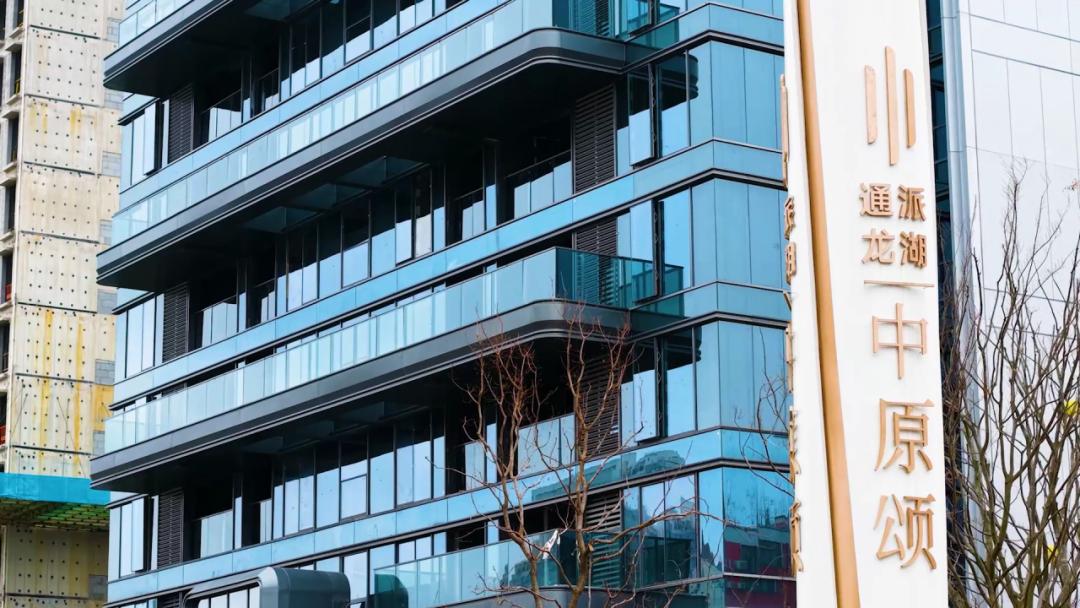 通派龙湖·中原颂丨開元