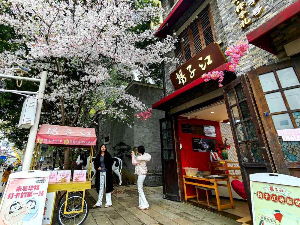 游客在武汉昙华林历史文化街区打卡留念。(陈子才 摄)