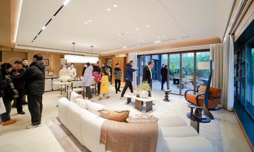 通派龙湖御潮云上