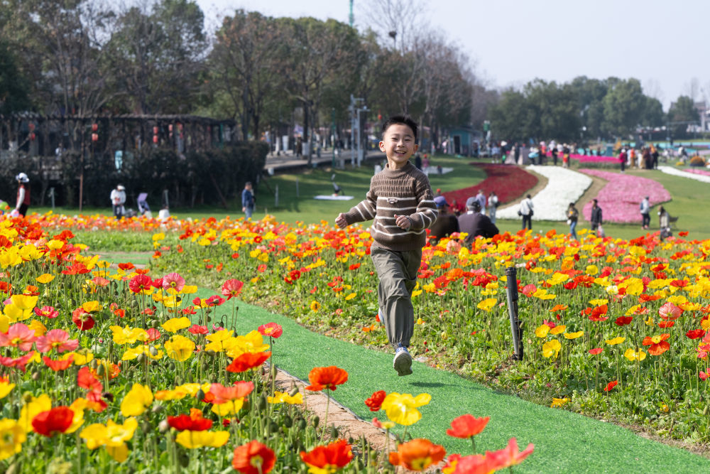 小朋友在武汉花博汇赏花玩耍。新华社记者 肖艺九 摄
