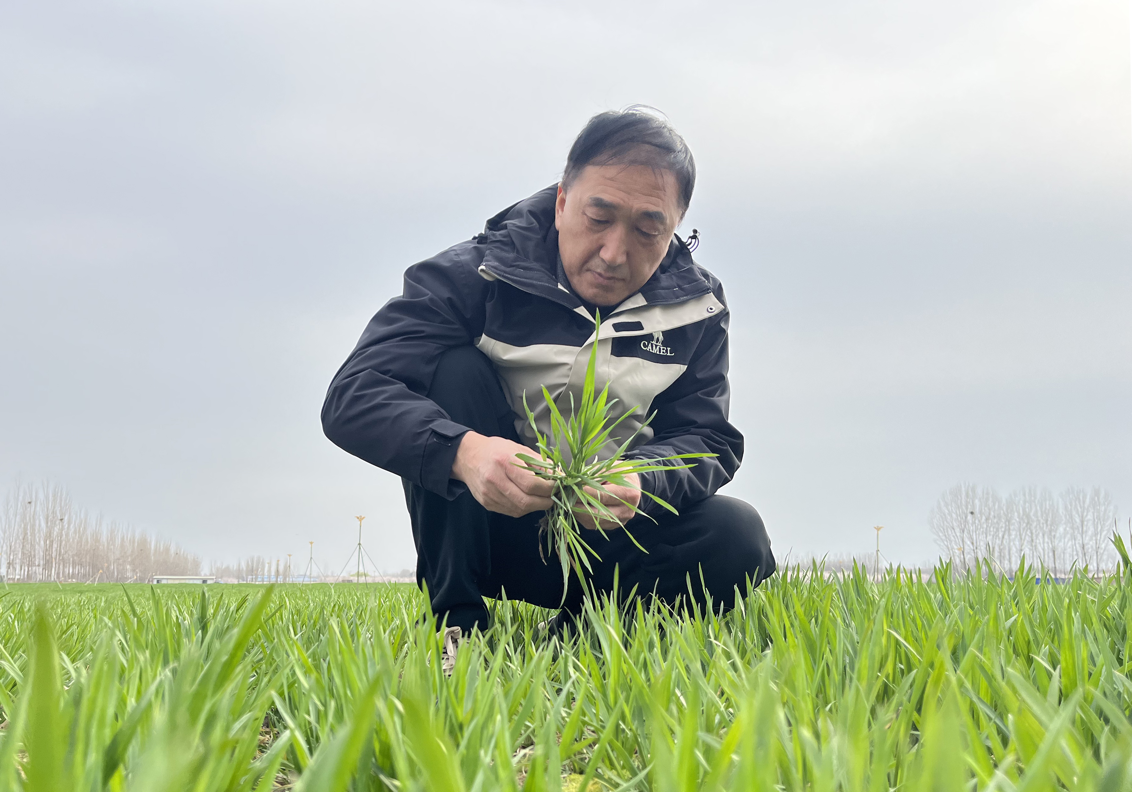 中国移动河南公司