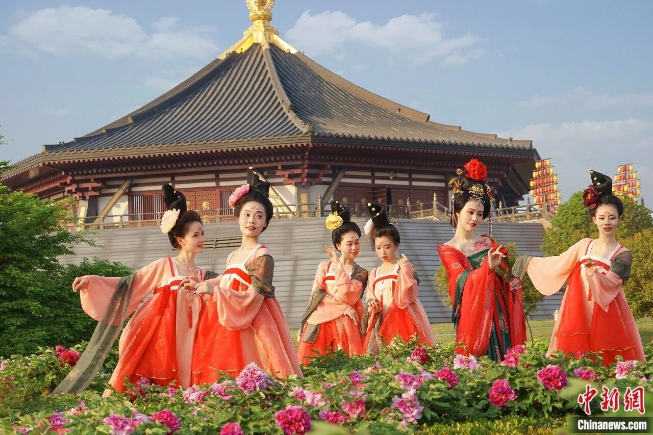 牡丹丛中的汉服秀。 牛林林 摄