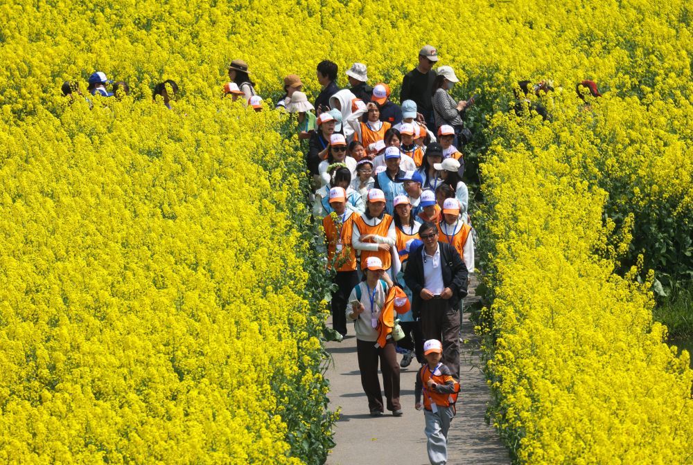 4月2日，在江苏省兴化市千垛景区，学生利用春假踏青游玩。新华社发（史道智摄）