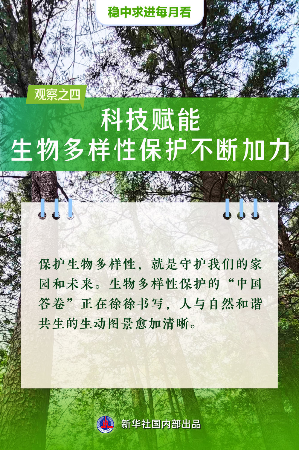 稳舵扬帆正当时——5月全国各地经济社会发展观察