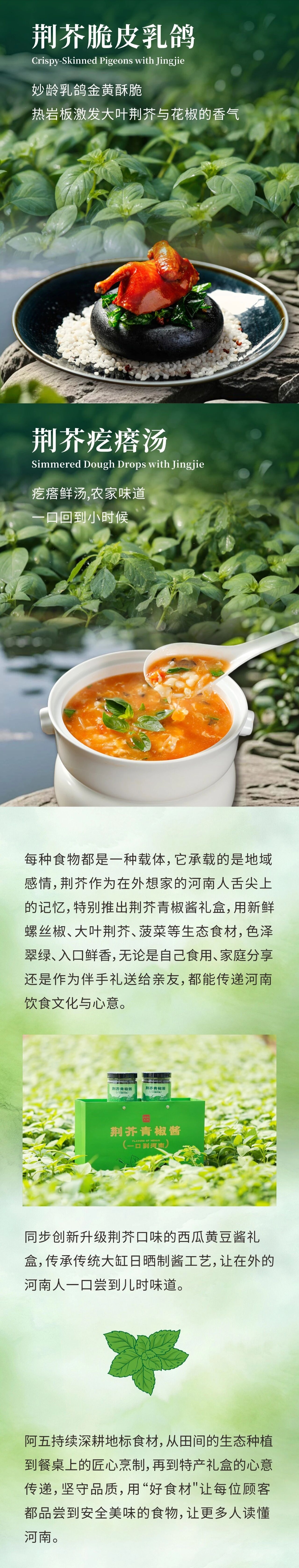 阿五大叶荆芥生态种植基地