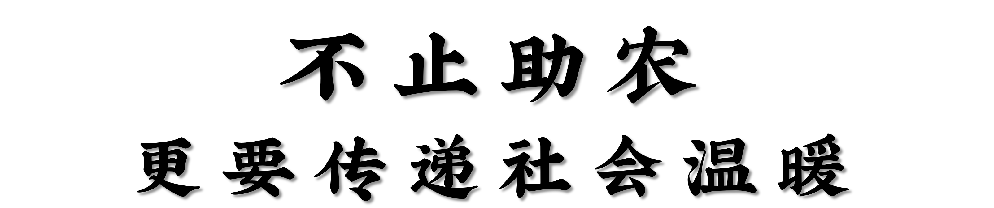 阿五黄河大鲤鱼
