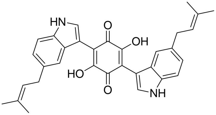 黄河科技学院