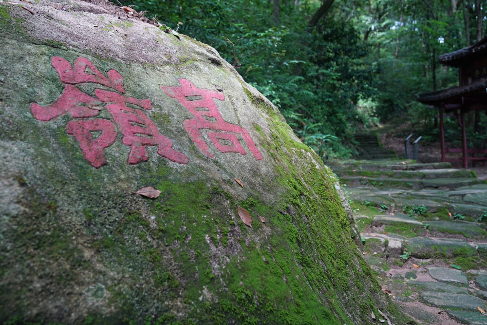 这是2026年5月28日拍摄的景德镇高岭瓷土矿遗址古道。新华社记者 万象 摄