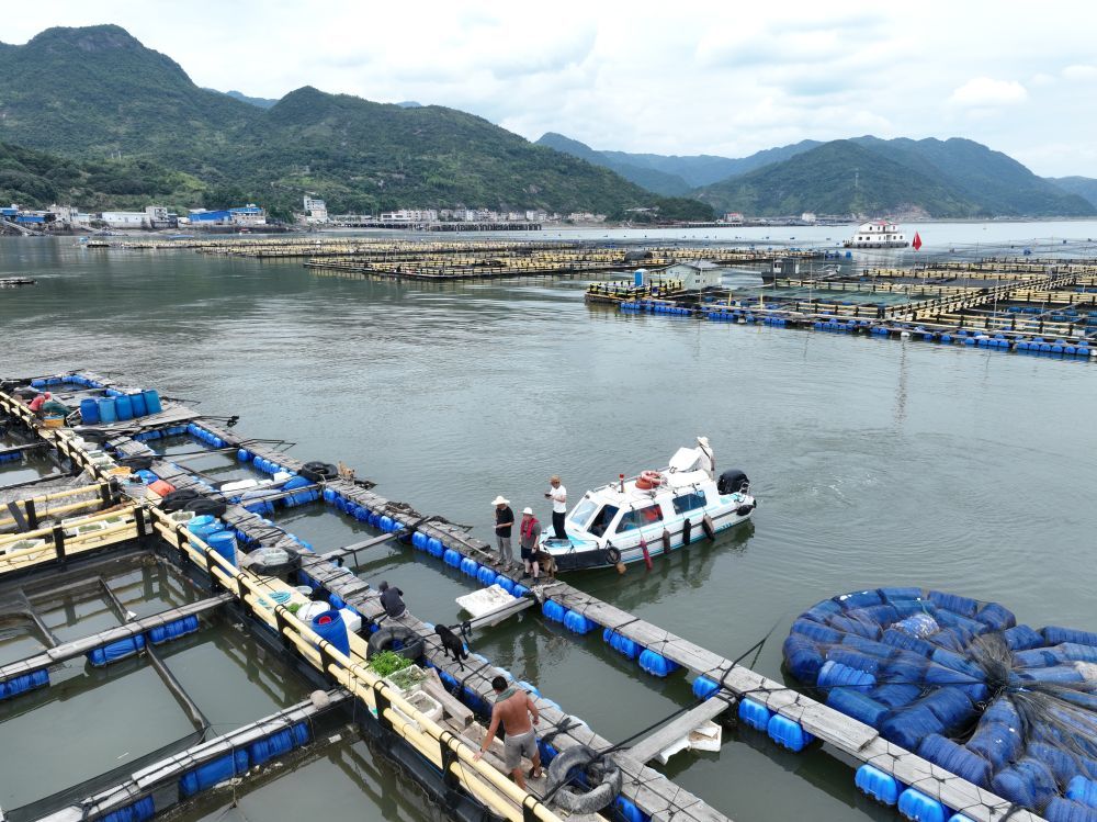 7月10日，福建省宁德市三都澳海上养殖区，乡镇干部在协助渔排养殖人员撤离（无人机照片）。新华社记者 姜克红 摄