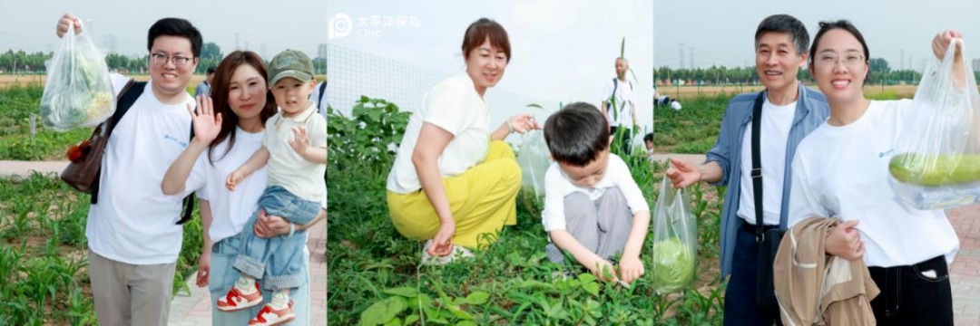 中国太保寿险河南分公司
