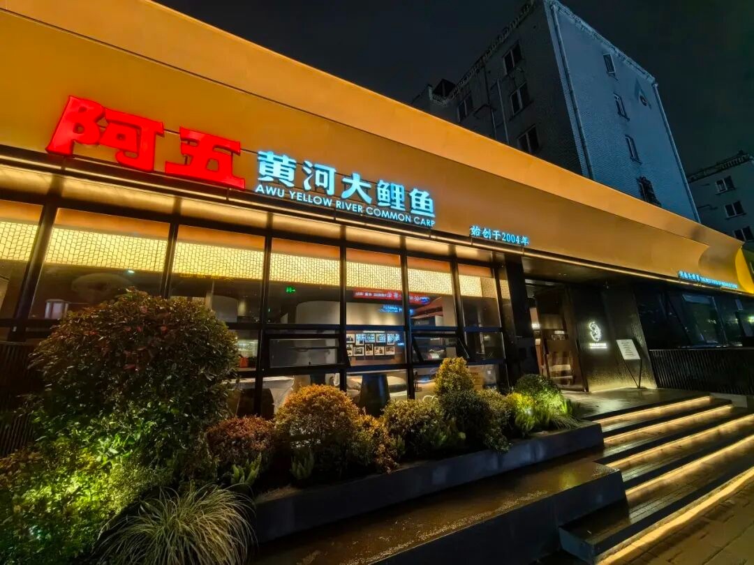 阿五黄河大鲤鱼