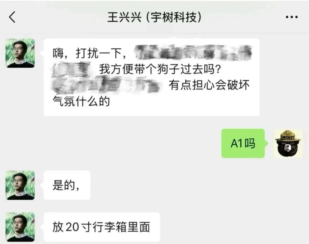 投资人与王兴兴的聊天。当时王兴兴想「带个狗子」现场展示