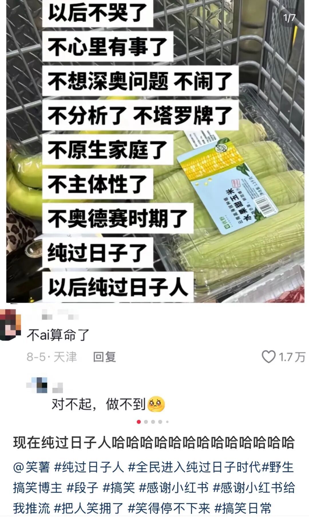 “纯过日子人宣言”，从不剖析自己开始。（图/小红书截图）