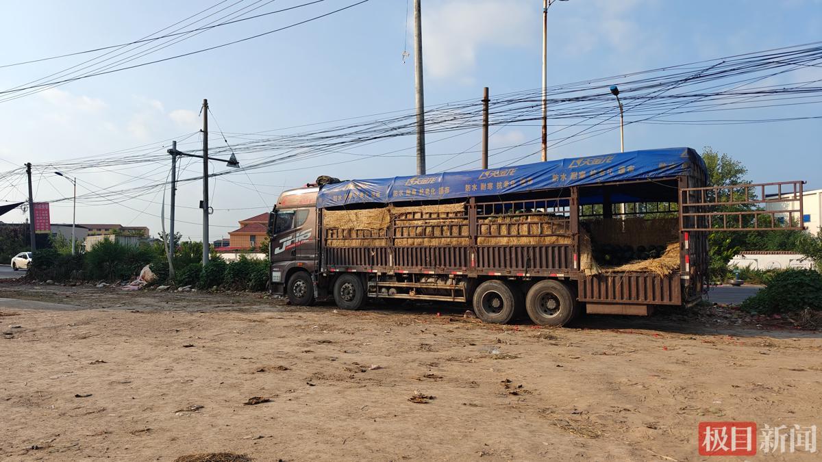 李贵兵准备收瓜用的货车（极目新闻记者 陈洋洋摄）