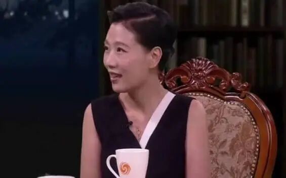 2010年左右，《锵锵三人行》中的叶檀