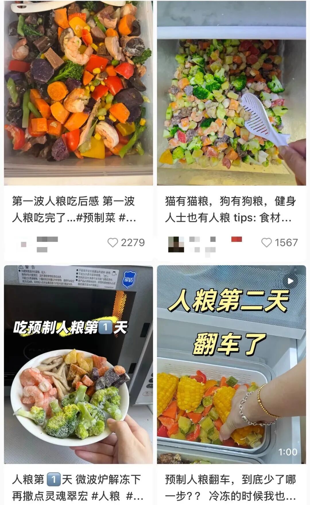 “预制人粮”话题词下，有不少体验帖。（图/小红书截图）