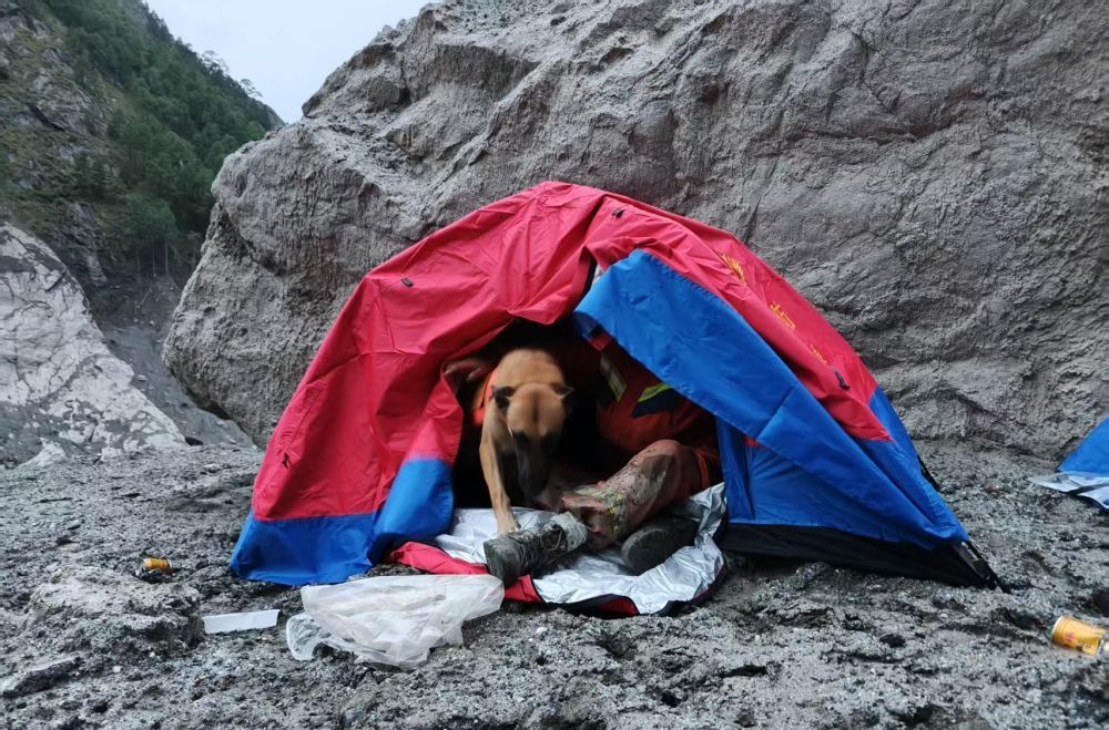 8月31日，入夜前，搜救犬和救援人员在帐篷里互相取暖。 新华社记者 晋美多吉 摄